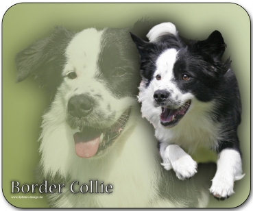 Mousepad Border Collie